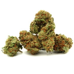 Popcorn Candy - Small Buds