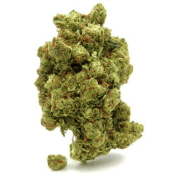 🥇White Widow - Cryo