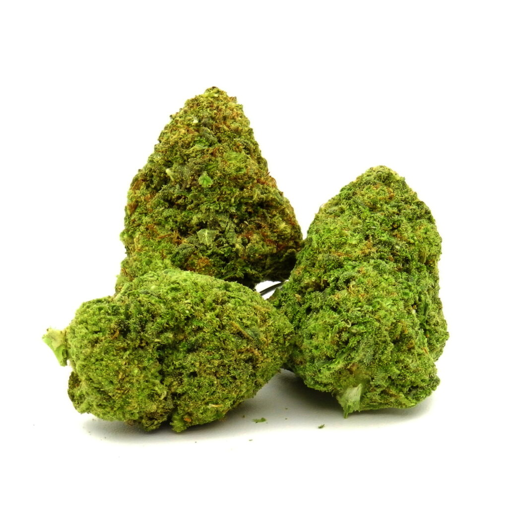 Fleur de CBD de variété White Widow séchée en cryo.