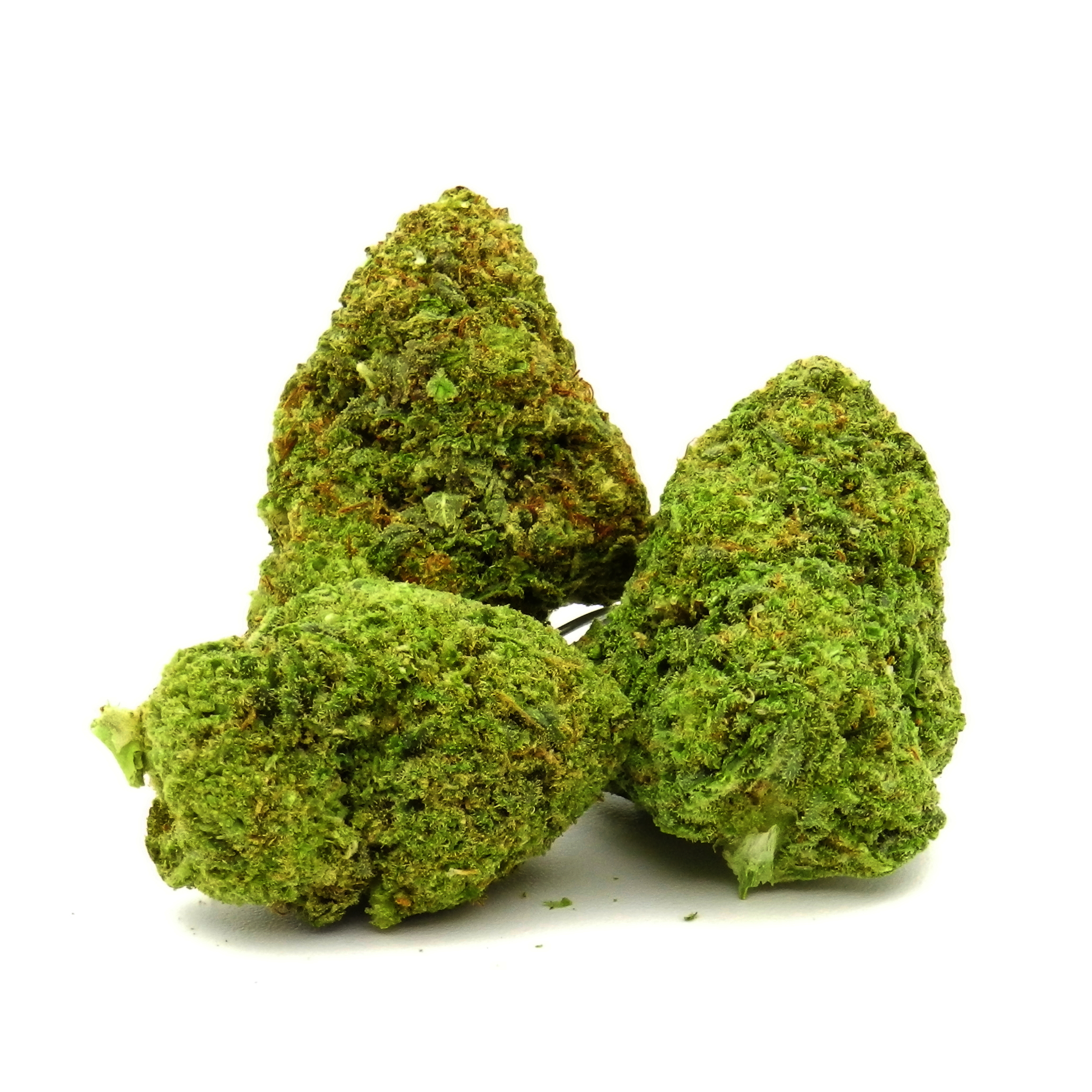 Fleur de CBD de variété White Widow séchée en cryo.