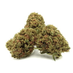 Exotic Diesel - Fleur de CBD