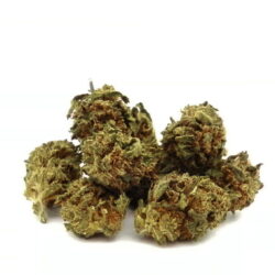 Gorilla Kush - Small Buds