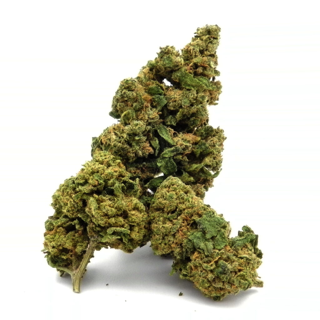 Exotica OG