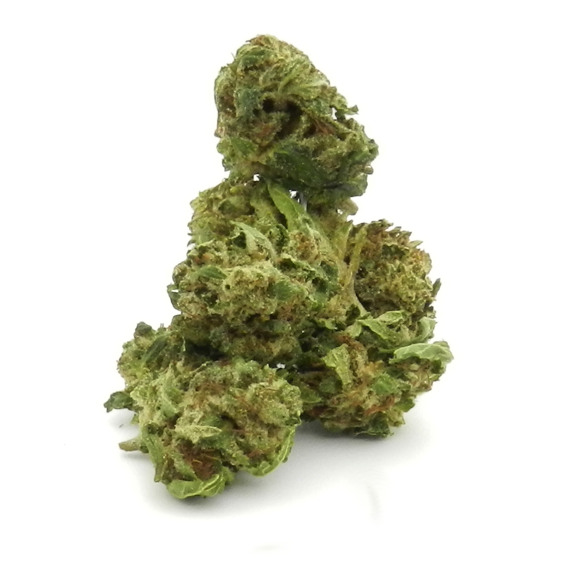 Bubble Gum - Small Buds