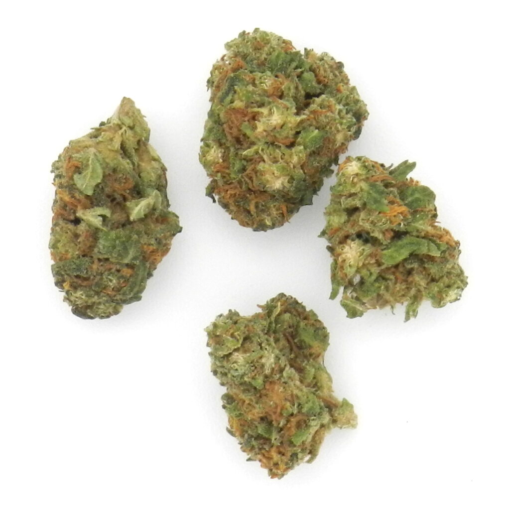 Cherry Pie - Small Buds