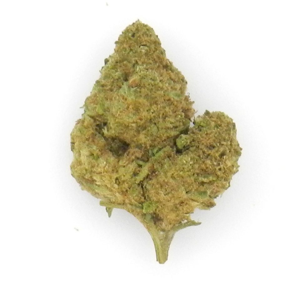 Mango Kush