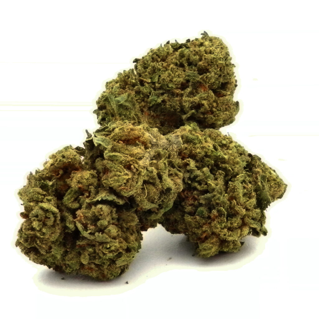 HQCT - Small Buds
