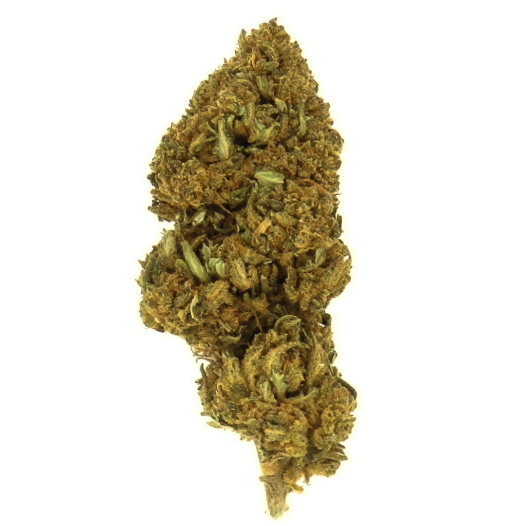 Melon Kush