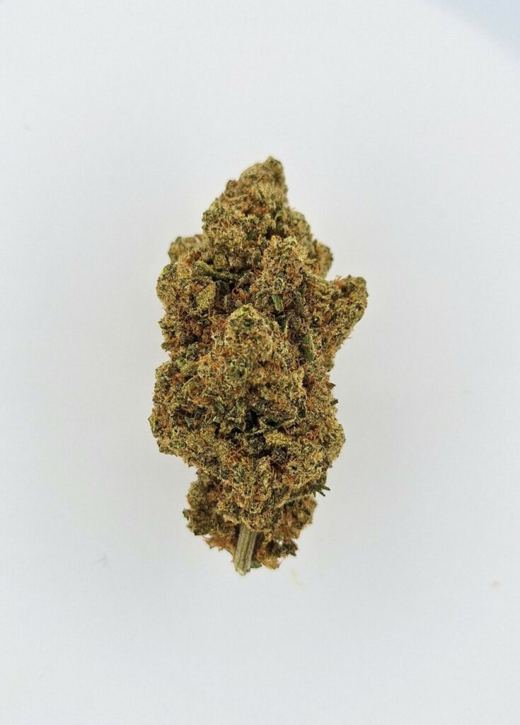Original Amnesia