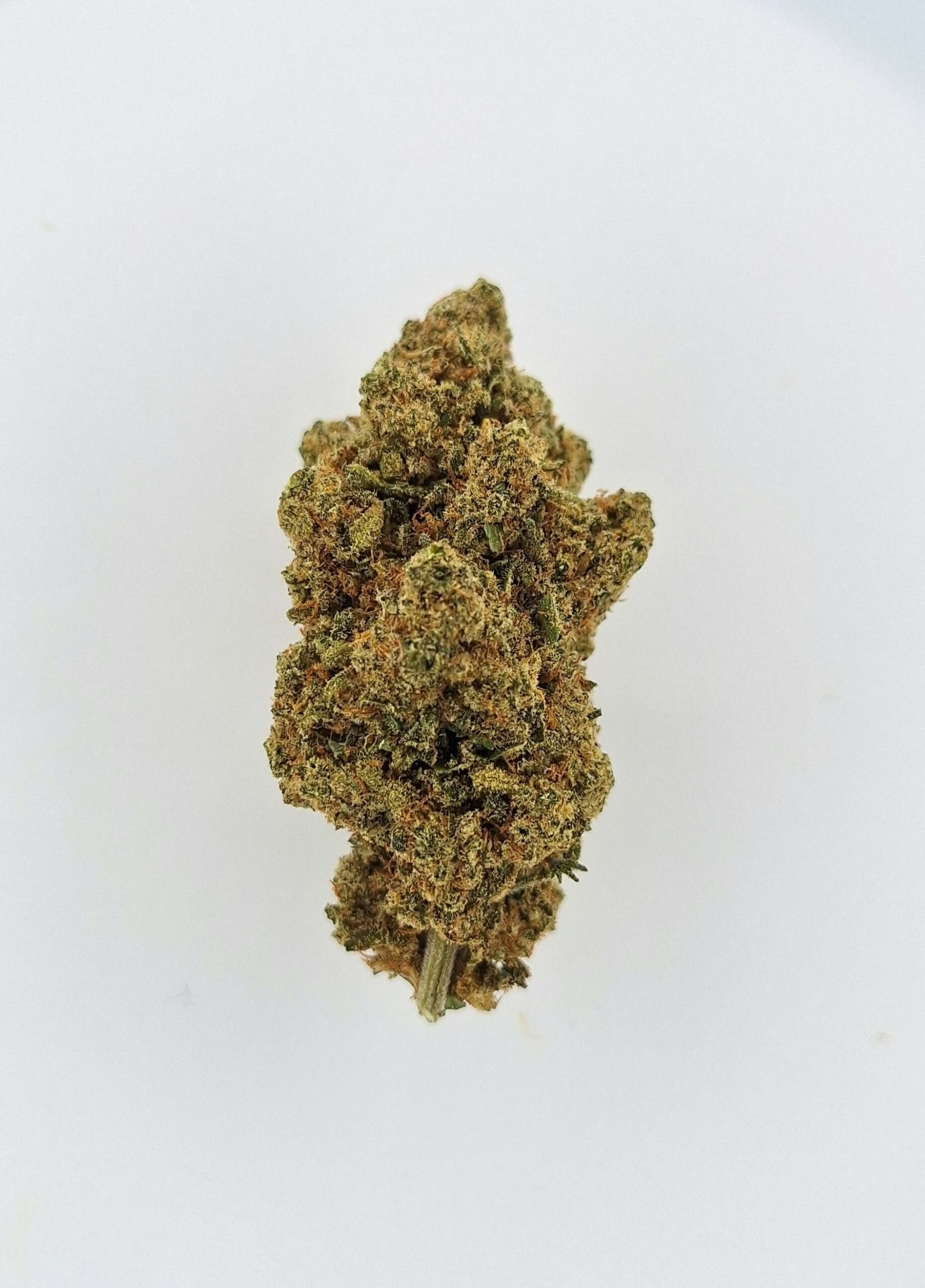Original Amnesia